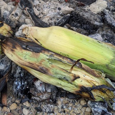 Corn in Coals